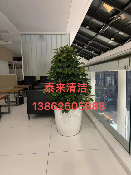 1688356085122415.png image.png