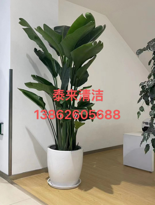 1688356100806608.png image.png