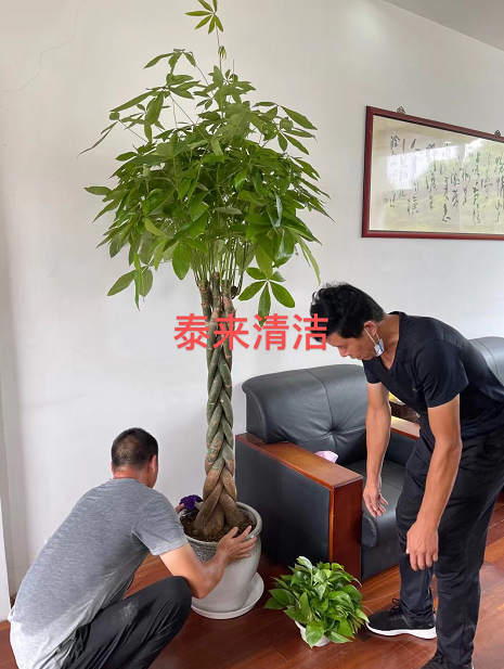 1629787480882926.png image.png